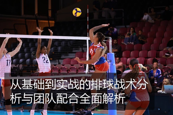 从基础到实战的排球战术分析与团队配合全面解析