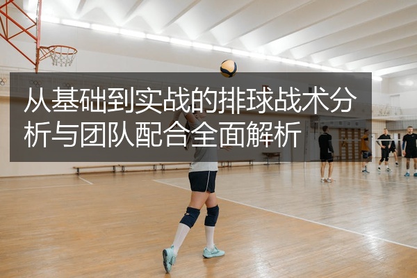 从基础到实战的排球战术分析与团队配合全面解析